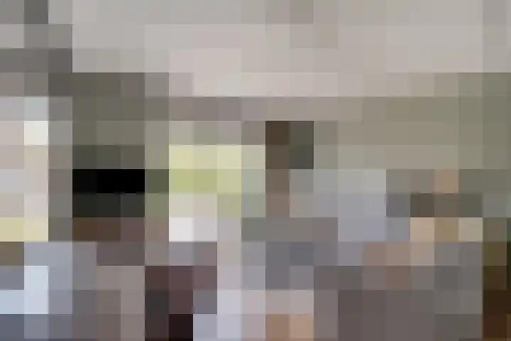 Mercurius 21 Duiven thumbnail 17