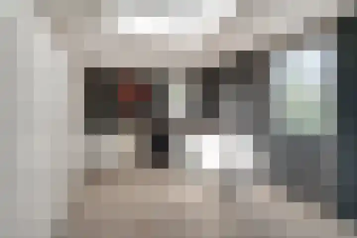 Mercurius 21 Duiven thumbnail 21