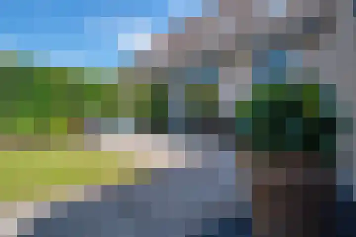 Mercurius 21 Duiven thumbnail 24