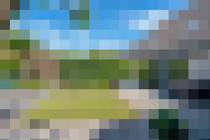 Mercurius 21 Duiven thumbnail 25