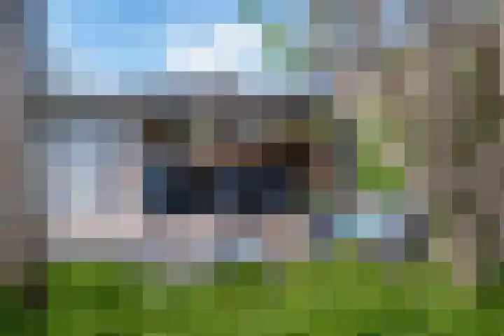 Mercurius 21 Duiven thumbnail 28