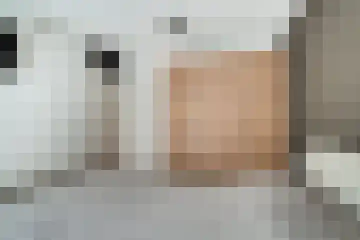 Mercurius 21 Duiven thumbnail 36