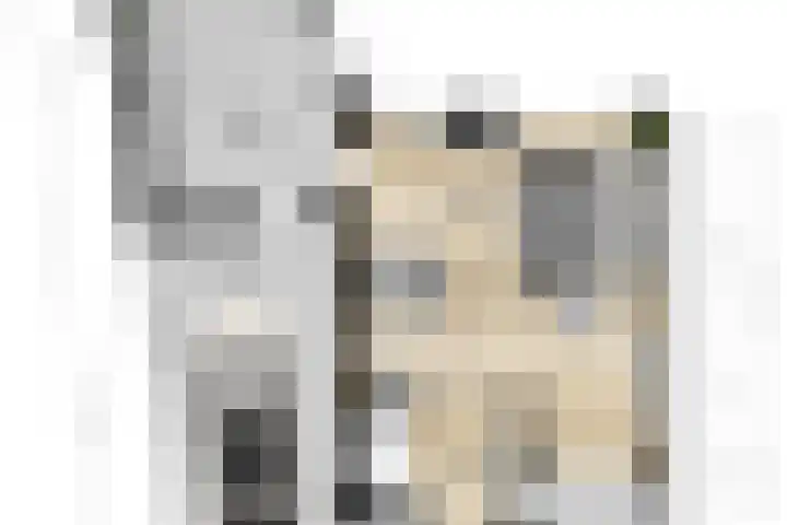 Mercurius 21 Duiven thumbnail 46