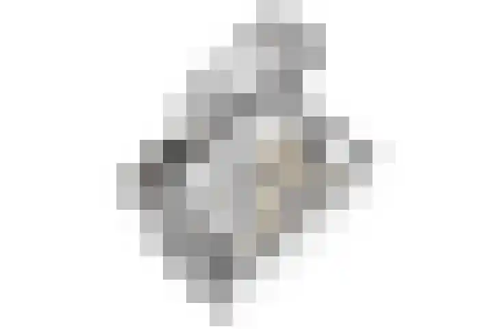 Mercurius 21 Duiven thumbnail 47