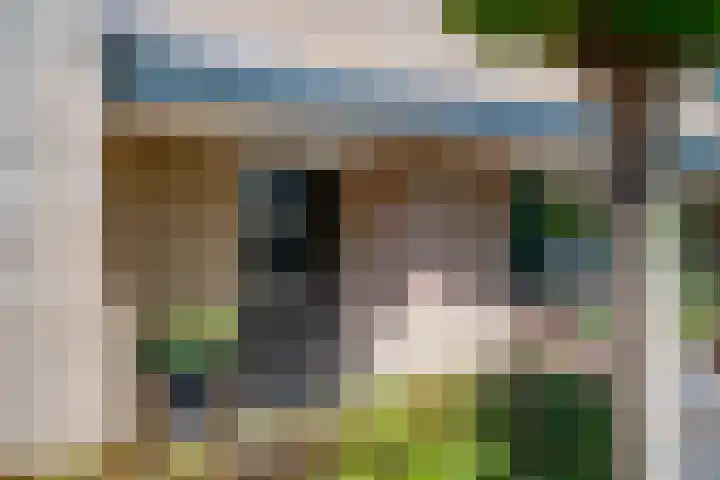 Mercurius 21 Duiven thumbnail 7