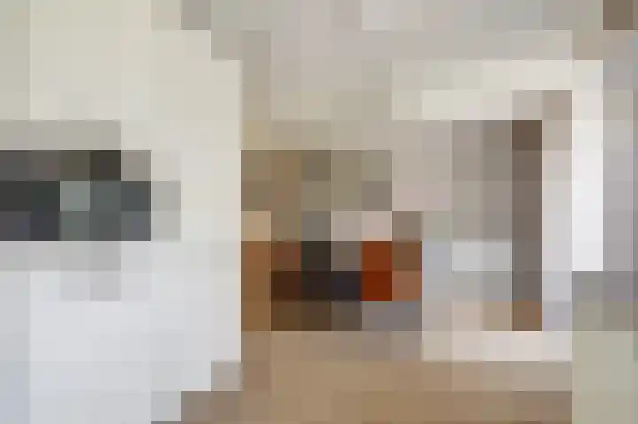 Mercurius 26 Twello thumbnail 13