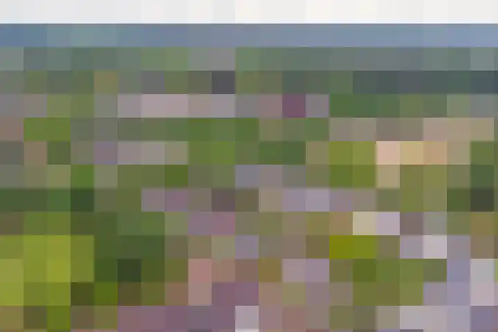 Mercurius 26 Twello thumbnail 29