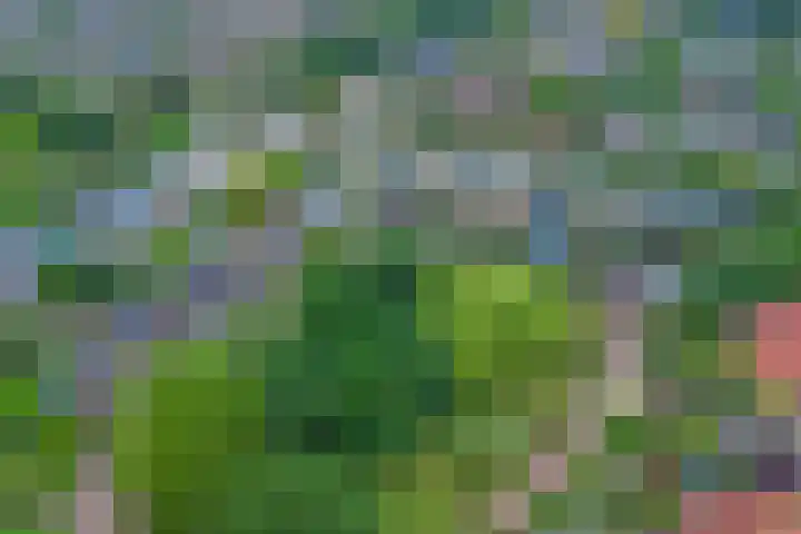 Mercurius 26 Twello thumbnail 30