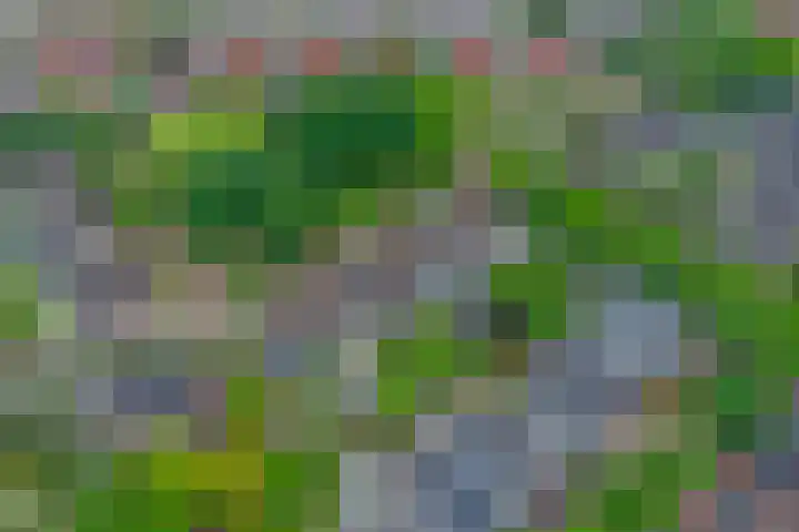 Mercurius 26 Twello thumbnail 31