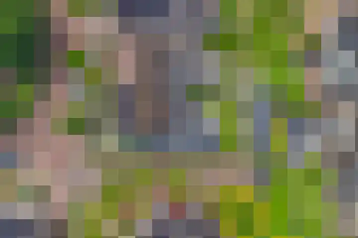 Mercurius 26 Twello thumbnail 4