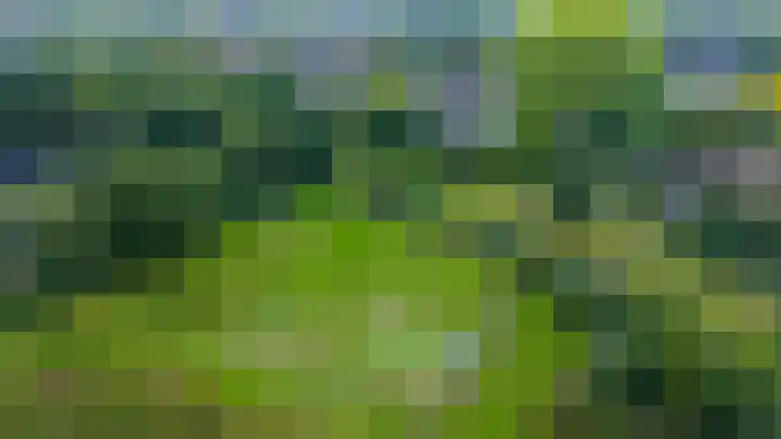 Mercurius 41 Lichtenvoorde thumbnail 24