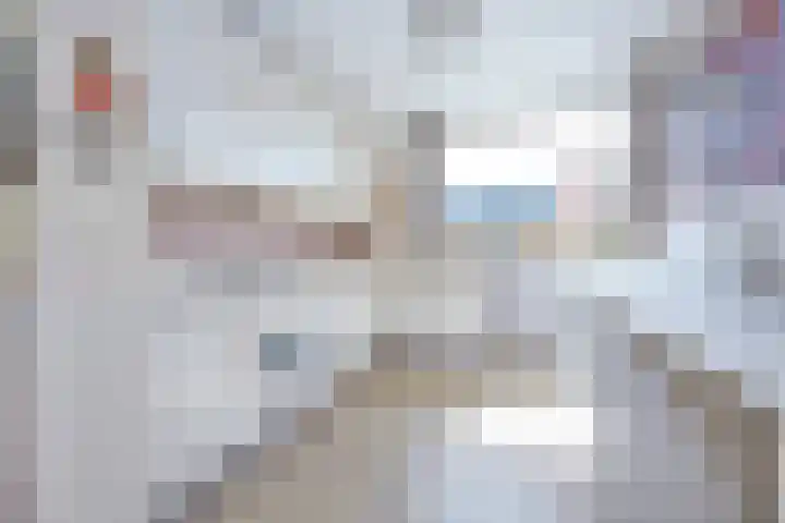 Mercurius 44 Katwijk thumbnail 16