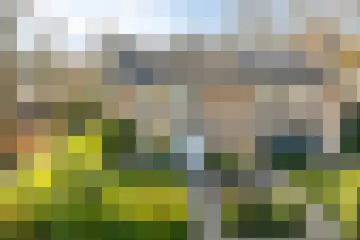 Mercurius 52 Den Helder foto 2