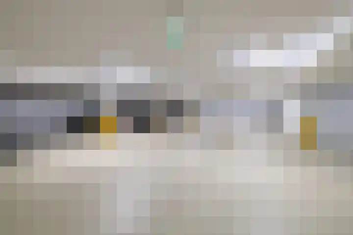 Mercurius 55 Den Helder thumbnail 24