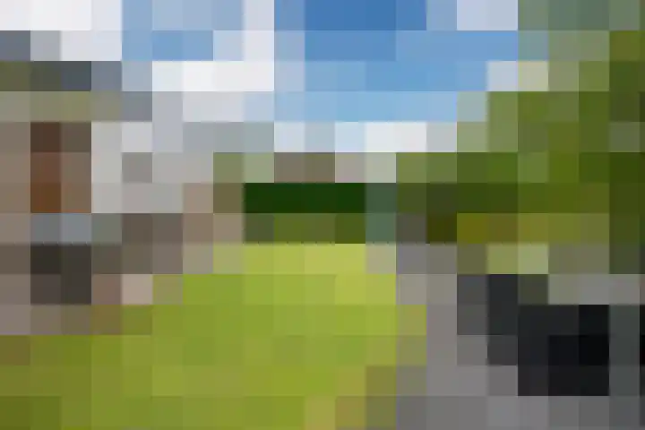 Mercuriusbaan 2 Franeker thumbnail 15