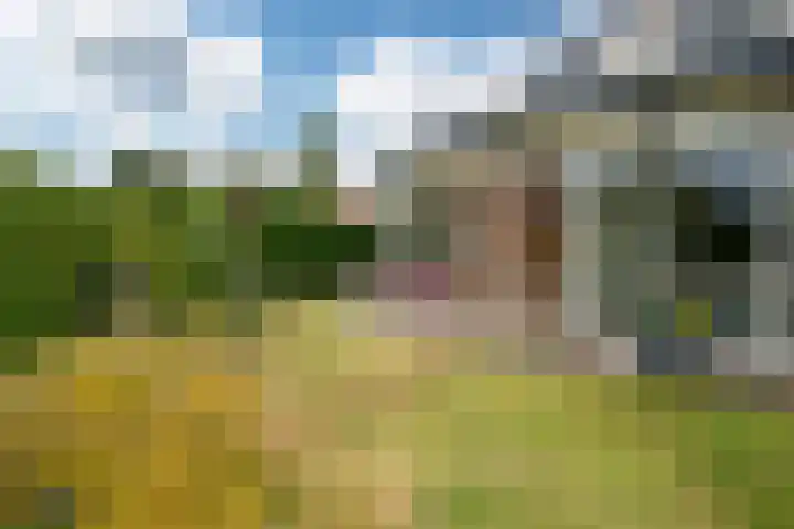 Mercuriusbaan 2 Franeker thumbnail 17
