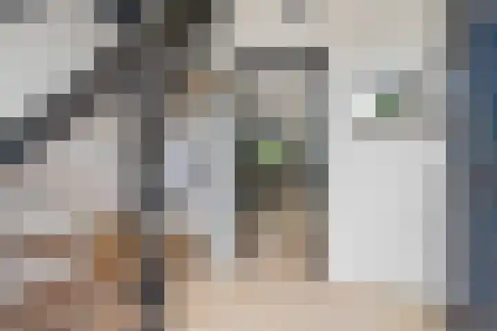 Mercuriusbaan 2 Franeker thumbnail 19