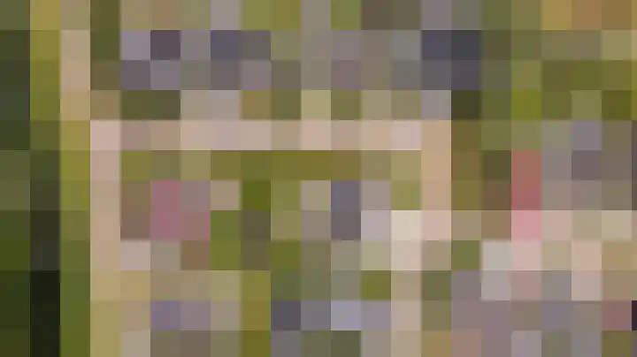 Mercuriusbaan 2 Franeker thumbnail 36