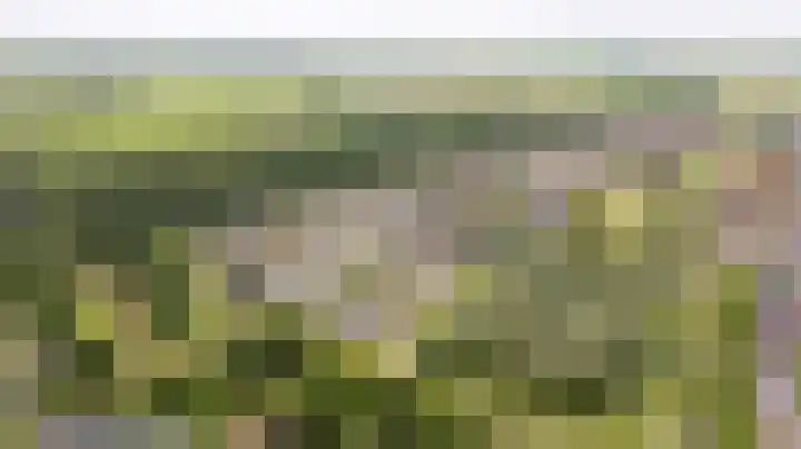 Mercuriusbaan 2 Franeker thumbnail 39