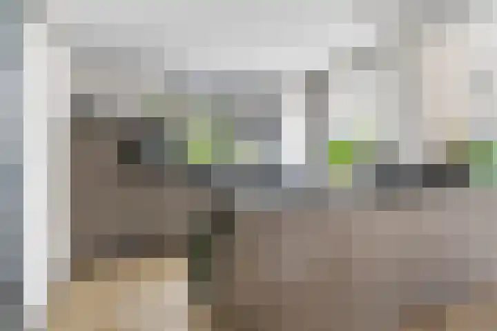 Mercuriusbaan 2 Franeker thumbnail 9
