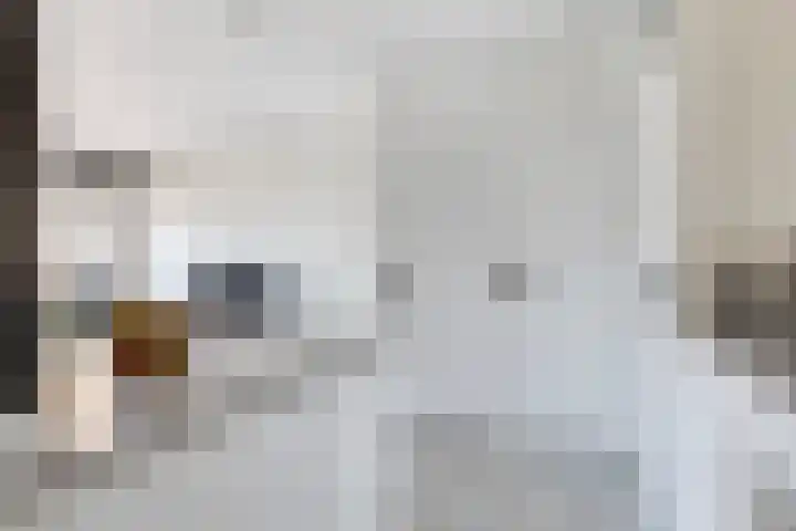 Mercuriusplein 48 Berlicum thumbnail 18