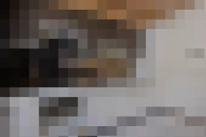 Mercuriusstraat 12 Asten thumbnail 10