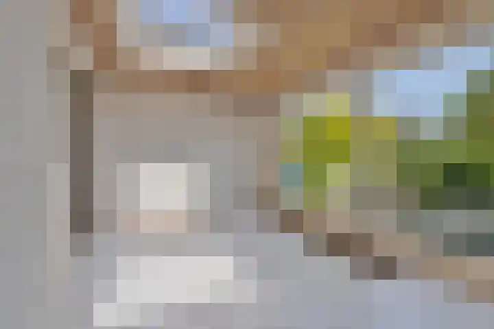 Mercuriusstraat 12 Asten thumbnail 11