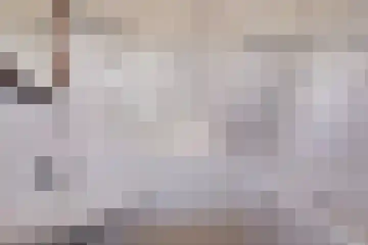 Mercuriusstraat 12 Asten thumbnail 20