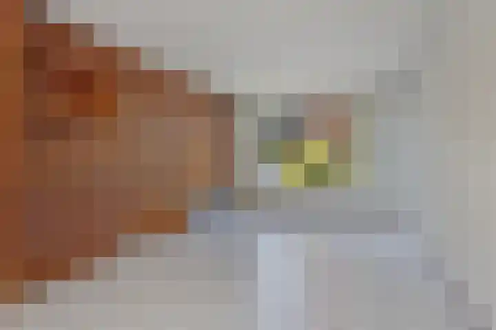 Mercuriusstraat 12 Asten foto 3