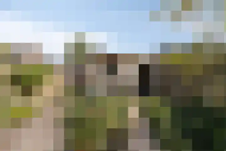 Mercuriusstraat 12 Asten thumbnail 30