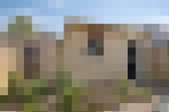 Mercuriusstraat 12 Asten thumbnail 31