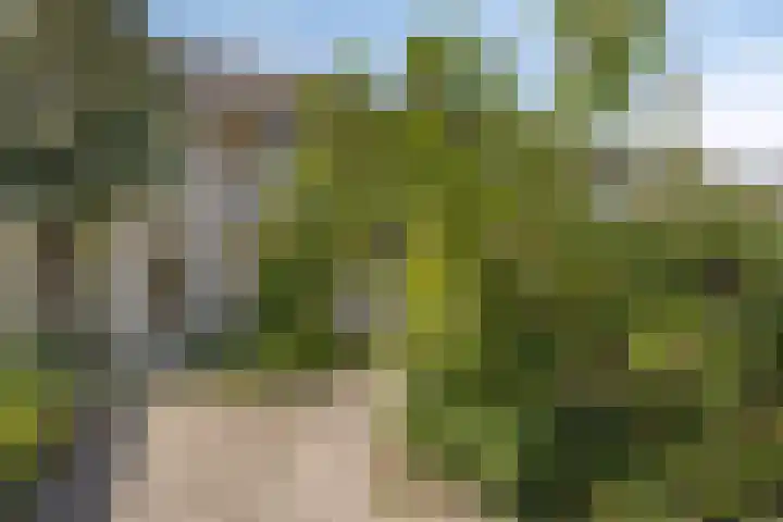 Mercuriusstraat 12 Asten thumbnail 32