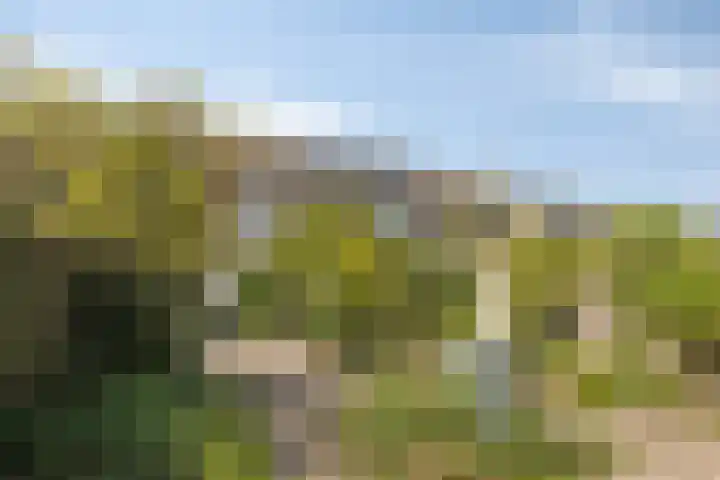 Mercuriusstraat 12 Asten thumbnail 33