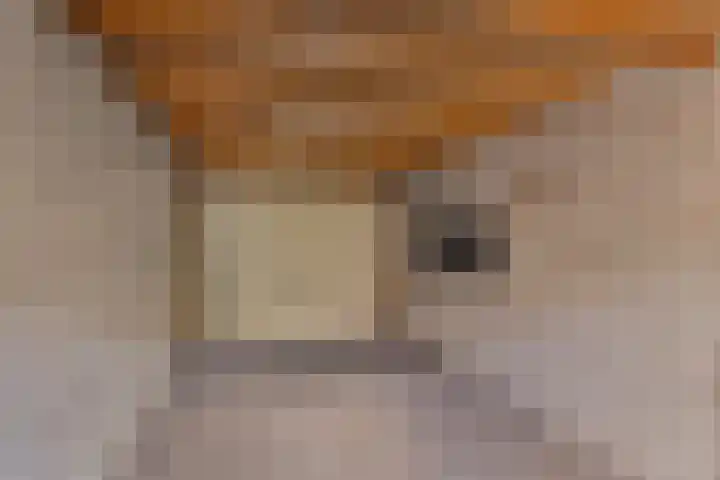 Mercuriusstraat 12 Asten thumbnail 35