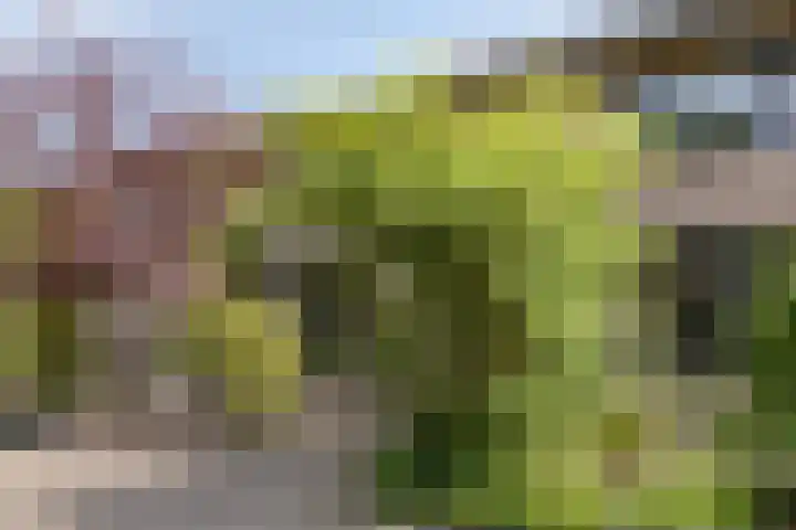 Mercuriusstraat 12 Asten thumbnail 46