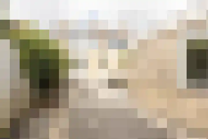 Mercuriusstraat 14 Oudorp thumbnail 38