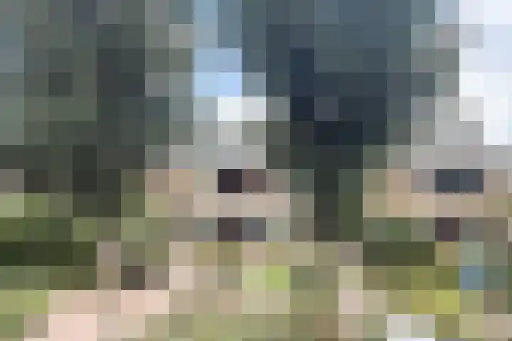 Mercuriusstraat 14 Oudorp thumbnail 41