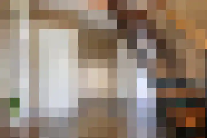 Mercuriusstraat 39 Asten thumbnail 23