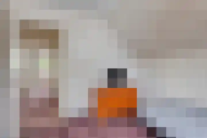 Mercuriusstraat 39 Asten thumbnail 30