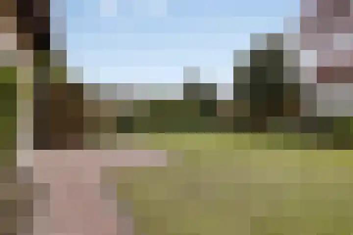 Mercuriusstraat 39 Asten thumbnail 46