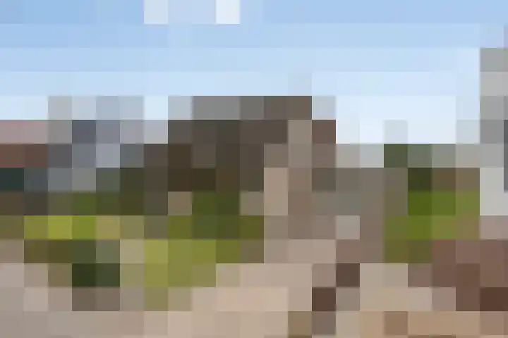 Mercuriusstraat 39 Asten thumbnail 49