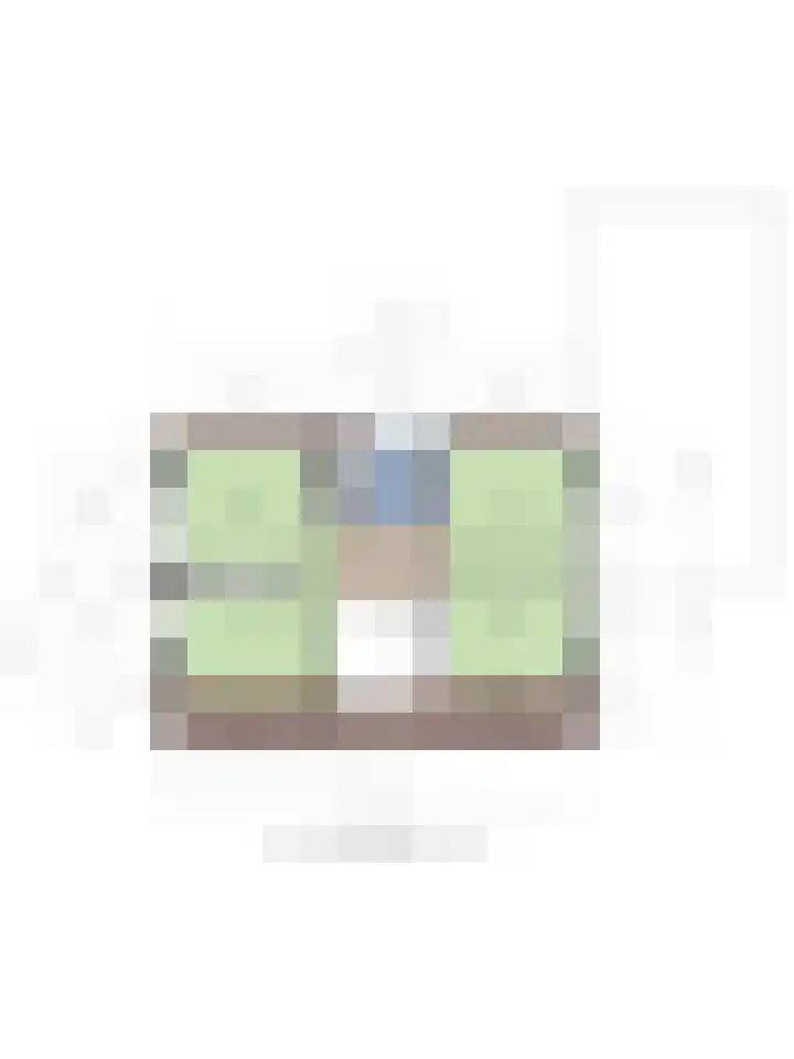Mercuriusstraat 39 Asten thumbnail 52