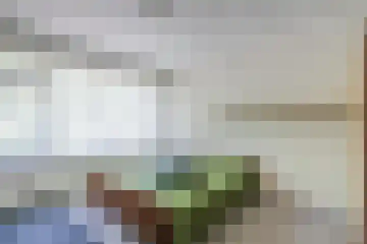 Mercuriusstraat 70 Asten thumbnail 14