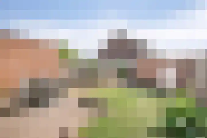 Mercuriusstraat 70 Asten thumbnail 26