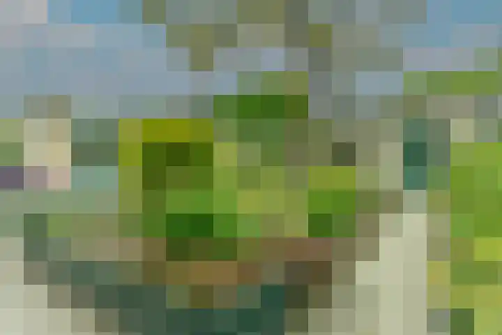 Mercury 3 Soesterberg thumbnail 13