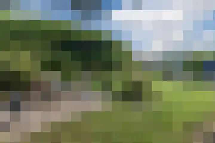 Mercury 8 Heeze thumbnail 47