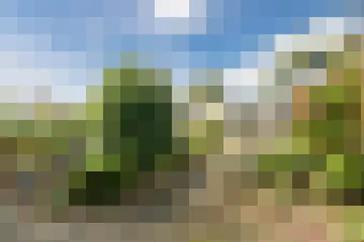 Mercury 98 Soesterberg thumbnail 20