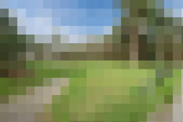 Mercury 98 Soesterberg thumbnail 29