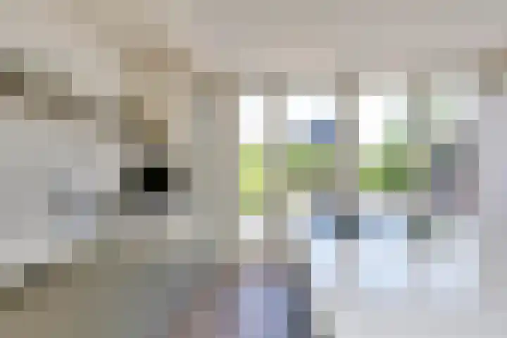 Merefeltstraat 14 Veldhoven thumbnail 13