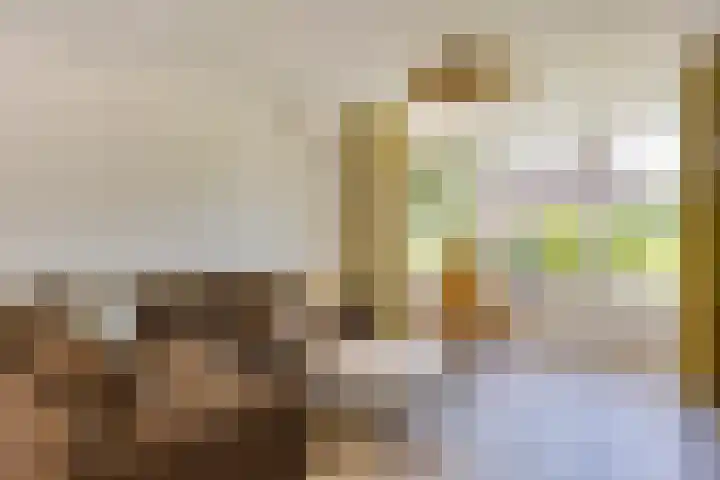 Merefeltstraat 14 Veldhoven thumbnail 7